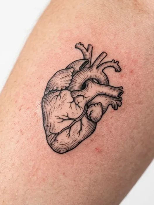 Close-up view of fresh heart tattoo showing detailed linework and skin texture in studio lighting
