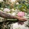 Woman's forearm with lotus henna design near blooming lotus flowers in garden pond with golden reflections